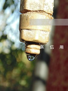 4张信用卡一共逾期6次 4张信用卡一共逾期6次