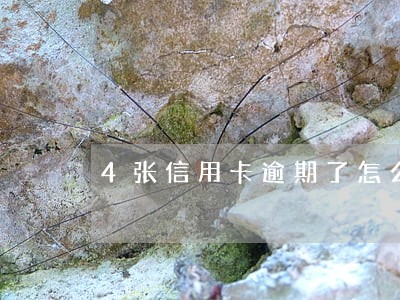 4张信用卡逾期了怎么办 4张信用卡逾期了怎么办