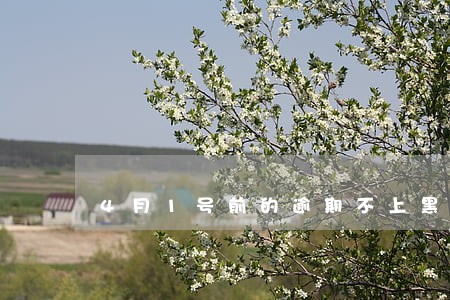 4月1号前的逾期不上黑名单吗 4月1号前的逾期不上黑名单吗