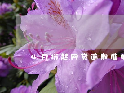 4月份起网贷逾期催收没了 4月份起网贷逾期催收没了