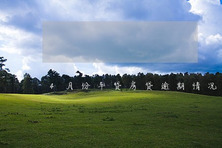 4月份车贷房贷逾期情况 4月份车贷房贷逾期情况