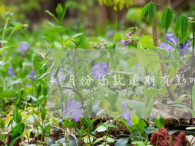 4月份还款逾期有影响吗 4月份还款逾期有影响吗