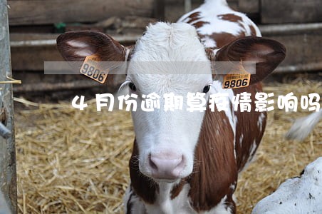 4月份逾期算疫情影响吗 4月份逾期算疫情影响吗