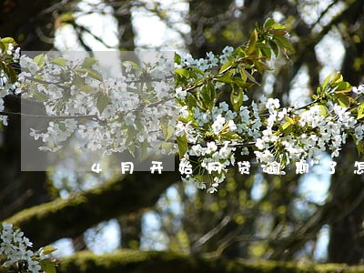 4月开始网贷逾期了怎么办 4月开始网贷逾期了怎么办
