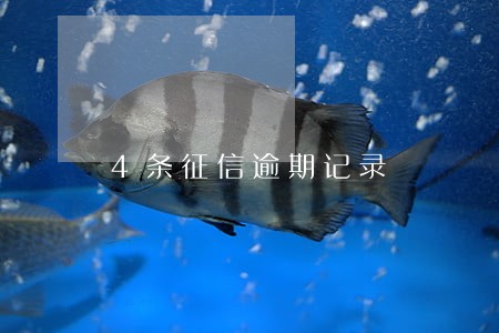 4条征信逾期记录 4条征信逾期记录