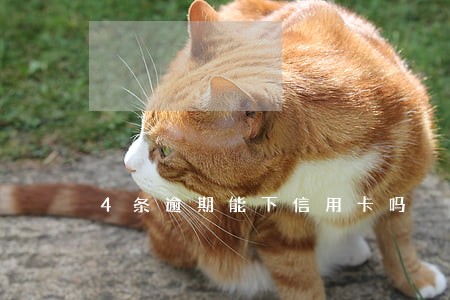 4条逾期能下信用卡吗
