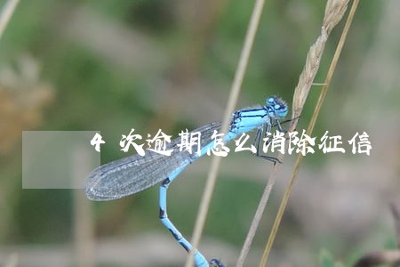 4次逾期怎么消除征信 4次逾期怎么消除征信