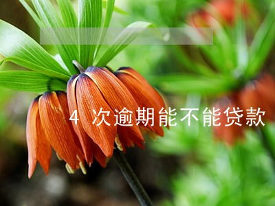 4次逾期能不能贷款 4次逾期能不能贷款
