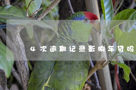 4次逾期记录影响车贷吗