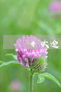 4次逾期金额不大 4次逾期金额不大