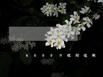 5000万理财逾期 5000万理财逾期