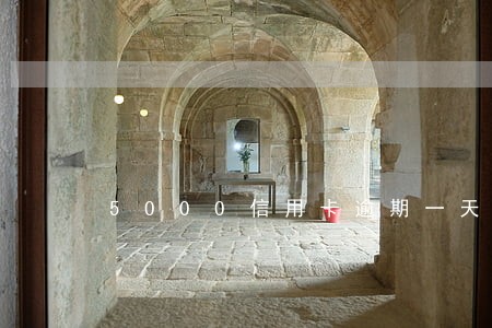 5000信用卡逾期一天多少钱 5000信用卡逾期一天多少钱