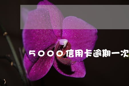 5000信用卡逾期一次 5000信用卡逾期一次