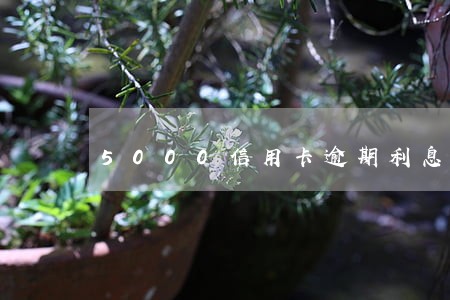 5000信用卡逾期利息多少