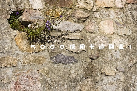 5000信用卡逾期变12500 5000信用卡逾期变12500