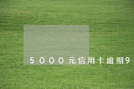 5000元信用卡逾期90天 5000元信用卡逾期90天