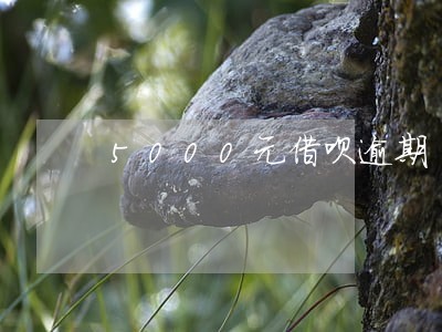 5000元借呗逾期 5000元借呗逾期