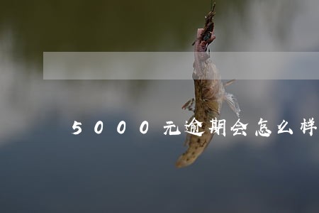 5000元逾期会怎么样 5000元逾期会怎么样