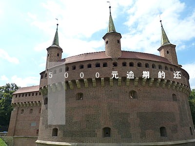 5000元逾期的还款截图