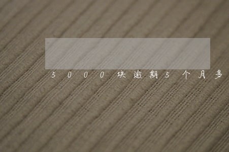 5000块逾期5个月多少钱