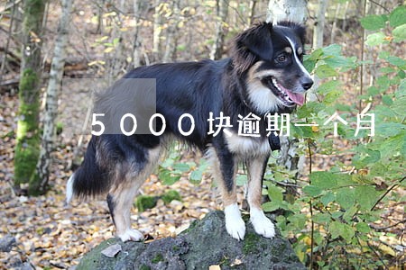 5000块逾期一个月 5000块逾期一个月