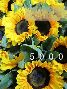 5000块逾期一年 5000块逾期一年
