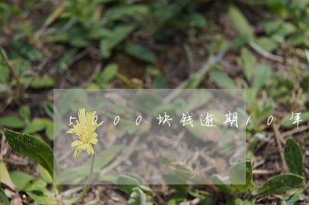 5000块钱逾期10年 5000块钱逾期10年