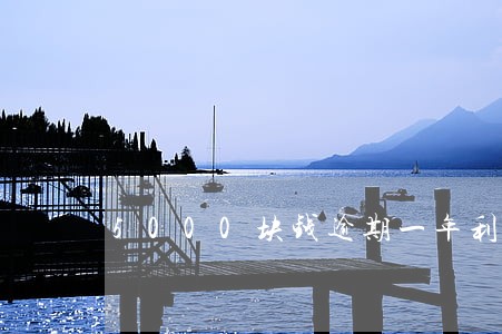5000块钱逾期一年利息多少 5000块钱逾期一年利息多少