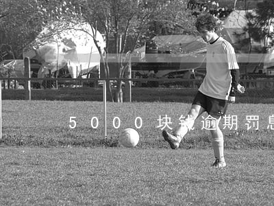 5000块钱逾期罚息多少 5000块钱逾期罚息多少