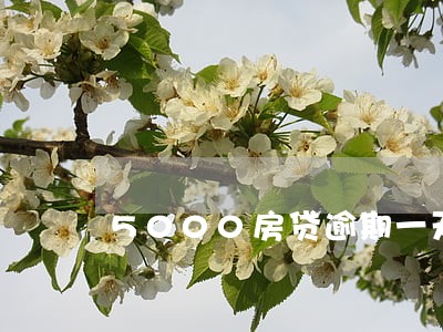 5000房贷逾期一天滞纳金多少