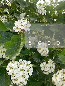 5000新口子无视逾期 5000新口子无视逾期