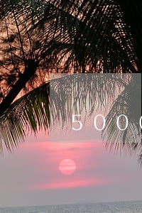 5000的贷款逾期 5000的贷款逾期