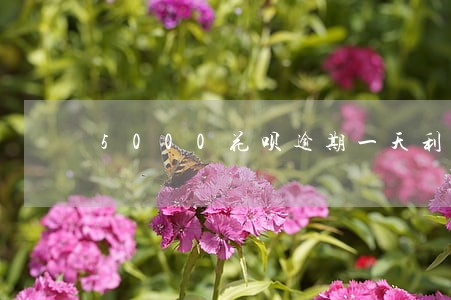 5000花呗逾期一天利息 5000花呗逾期一天利息