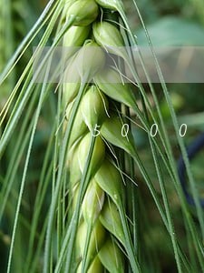 5000贷款逾期4个月 5000贷款逾期4个月