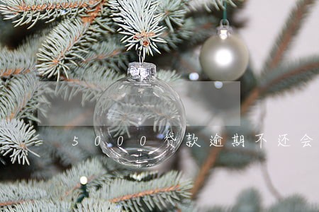 5000贷款逾期不还会怎么样 5000贷款逾期不还会怎么样