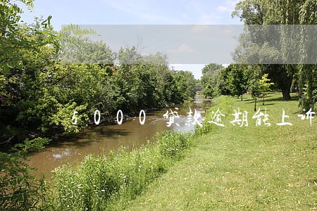 5000贷款逾期能上诉吗 5000贷款逾期能上诉吗