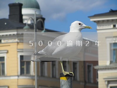 5000逾期2年 5000逾期2年