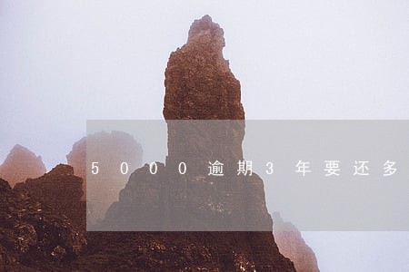 5000逾期3年要还多少 5000逾期3年要还多少