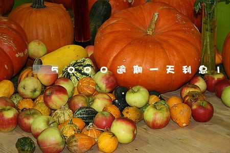 5000逾期一天利息100 5000逾期一天利息100