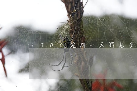 5000逾期一天罚息多少