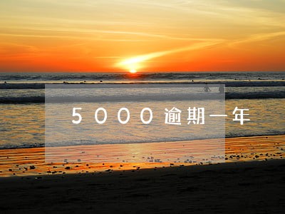 5000逾期一年 5000逾期一年