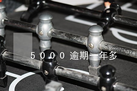 5000逾期一年多 5000逾期一年多