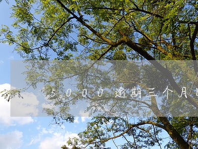 5000逾期三个月日息是多少 5000逾期三个月日息是多少