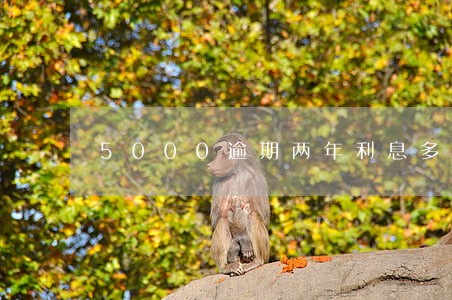 5000逾期两年利息多少钱 5000逾期两年利息多少钱