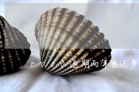 5000逾期两年要还多少 5000逾期两年要还多少
