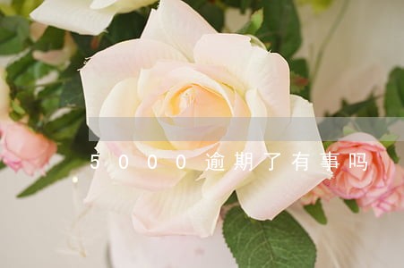 5000逾期了有事吗 5000逾期了有事吗