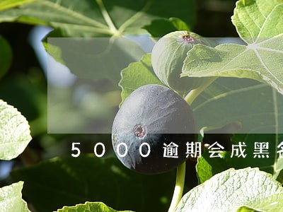 5000逾期会成黑名单吗 5000逾期会成黑名单吗