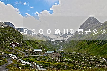 5000逾期利息是多少 5000逾期利息是多少