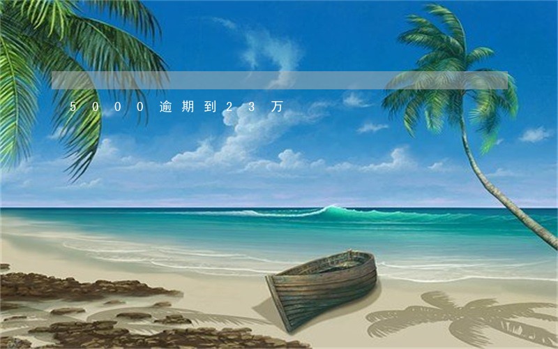 5000逾期到23万 5000逾期到23万