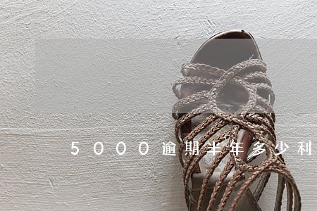 5000逾期半年多少利息 5000逾期半年多少利息